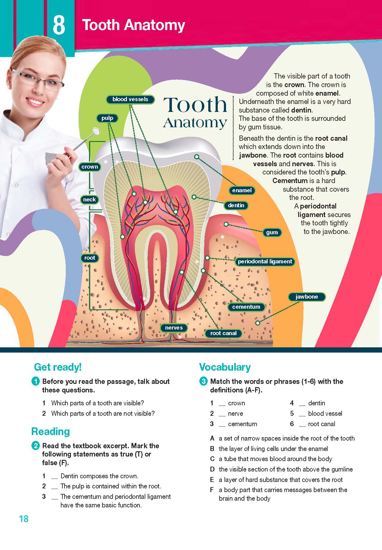 ESP English for Specific Purposes - Career Paths: Dental Hygienist- Sample Page 3